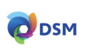 DSM_Logo